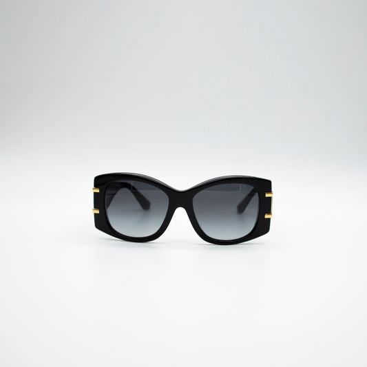 Dolce&Gabbana DG4501